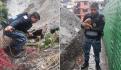 Perrito cae a las vías del Metro en la estación Cuitláhuac; así lo rescatan (VIDEO)