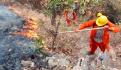 Incendios forestales en México aumentan 31% en las últimas 24 horas