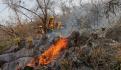 Incendios forestales se salen de control en Francia y España