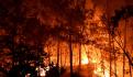 Muere piloto de bomberos en Portugal por incendio forestal