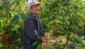 Destaca Agricultura aporte de los productores de berries en generación de empleos y divisas a México
