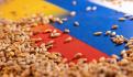 Rusia mata a mayor exportador de cereal en puerto de Mikolaiv