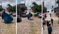 Caballo se pasea vestido con playera y pantalón de mezclilla en Tampico (VIDEO)