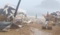 Gobierno Federal alista 4 mil 240 refugios por paso de huracán “Kay”