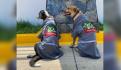 Perrobús: Hombre crea mini autobús para pasear a perritos en Teotihuacán (VIDEOS)