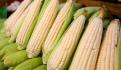 GCMA advierte que arancel al maíz no frenará costo de tortilla