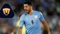 Argentina vs Croacia: Hora, cuándo y dónde ver EN VIVO, Semifinal Mundial Qatar 2022