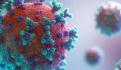 Ssa reporta 121 posibles casos de viruela símica en las últimas dos semanas