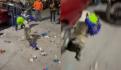 ¡Bara, bara! Perrito trabajador ayuda a su dueña a vender sandalias en la calle (VIDEO)