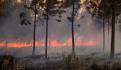 Registra Conafor 12 incendios forestales activos en México; 543 mil hectáreas afectadas
