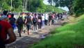Rescatan a 142 migrantes en operativos en Sonora y Chiapas