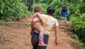 Encuentran vivos a los 4 niños perdidos en la selva hace 40 días tras un accidente aéreo en Colombia