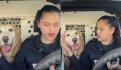 VIDEO. 'Cuando tu perrito es mexicano': mujer hace mini taquitos para su mascota