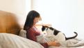Día Internacional del Gato: 5 acciones para cuidarlos mejor y ser un tutor responsable
