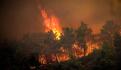 VIDEO. Se estrella avión que combatía incendios forestales en Grecia; mueren dos pilotos