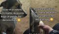 VIDEO | Comerciantes le ayudaron a un perrito para que pasara sin mojarse; hicieron un puente