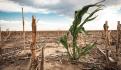 Chihuahua emite declaratoria de emergencia por sequía extrema; Gobierno trabaja para cuidar a familias, anuncia