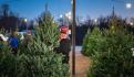 ¿Dónde rentar un árbol navideño en CDMX? Te dejamos 4 opciones