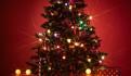 ¿Cuándo se quita el árbol de Navidad?