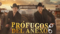 Tour Prófugos del Anexo 2024: Lo que se sabe del concierto en CDMX de Julión Álvarez y Alfedo Olivas