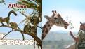 ¿A partir de cuándo puedes visitar a la jirafa Benito en Africam Safari de Puebla?