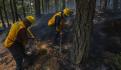 Al momento 80 incendios forestales en el país: Comisión Nacional Forestal