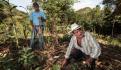 Ganadería mexicana tiene potencial de adaptación al cambio climático, destaca Agricultura