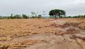 Lluvias en 4 días, lo de todo el año en Guerrero