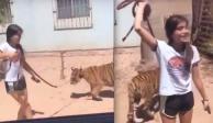 Una adolescente pasea a su tigre de bengala con todo y correa.