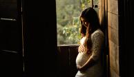 Brasil emitió una recomendación exhortando a las mujeres a posponer sus planes de embarazo hasta que la pandemia por COVID-19 esté controlada en el país