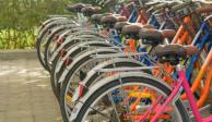 La Asamblea General de las Naciones Unidas declaró el 3 de junio como el Día Mundial de la Bicicleta