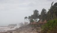 Las palmeras son arrastradas por el viento después de que el huracán Grace tocara tierra en la península de Yucatán, en Tulum, México.