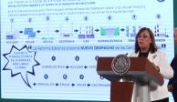 Rocío Nahle en conferencia matutina explica pormenores de la reforma eléctrica.