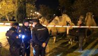 La Policía Nacional encontró a los camellos y a la llama deambulando por las calles de&nbsp;Madrid, España.
