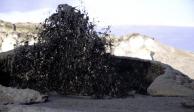 El volcán de lava negra está en Tanzania, y es el "favorito" de los científicos