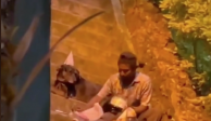 Captura del vídeo en el cual se aprecia al hombre compartiendo un pastel con los perritos
