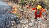 Incendios forestales en México aumentan 3% en 24 horas