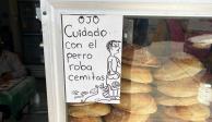 Alerta sobre perrito ladrón de cemitas en Puebla