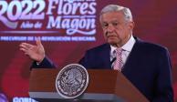 López Obrador destacó el Programa Sembrando Vida que se lleva a cabo con presupuesto del gobierno.&nbsp;
