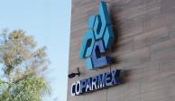 Coparmex confía en que nuevo titular de la SE haga esfuerzos por "implementar con éxito un plan de reactivación económica".
