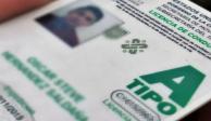 Solamente en algunas entidades de la República Mexicana se puede tramitar la licencia de conducir |permanente.