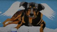 Un artista urbano diseñó un mural en homenaje al perrito 'Scooby'.