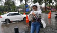 Una mujer camina bajo la lluvia, protegiéndose ella y a un perro con un plástico