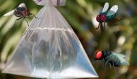 Las moscas se ahuyentan con las bolsas de agua... ¿Verdad?