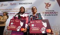 Mujeres con Bienestar suple al programa Salario Rosa.