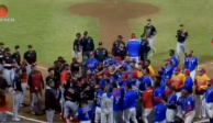 Una brutal pelea campal se desató en el segundo juego de la Final de la Liga Venezolana de Beisbol Profesional.