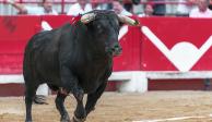 Se espera que las reformas de AMLO apoyen la prohibición de las corridas de toros en México.