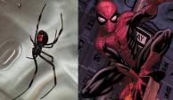 Los niños buscaban tener los poderes de Spider-man dejándose picar por la araña viuda negra