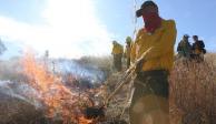 Aumentan incendios forestales activos en México&nbsp;