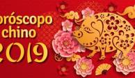 2019, año del cerdo; descubre qué animal eres según el horóscopo chino